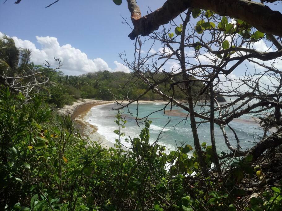 Vue Mer, Piscine, Appartement 4 Personnes Le Gosier  Esterno foto