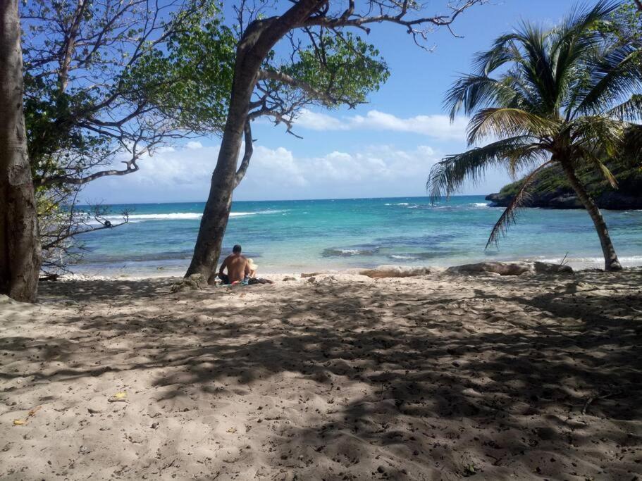 Vue Mer, Piscine, Appartement 4 Personnes Le Gosier  Esterno foto