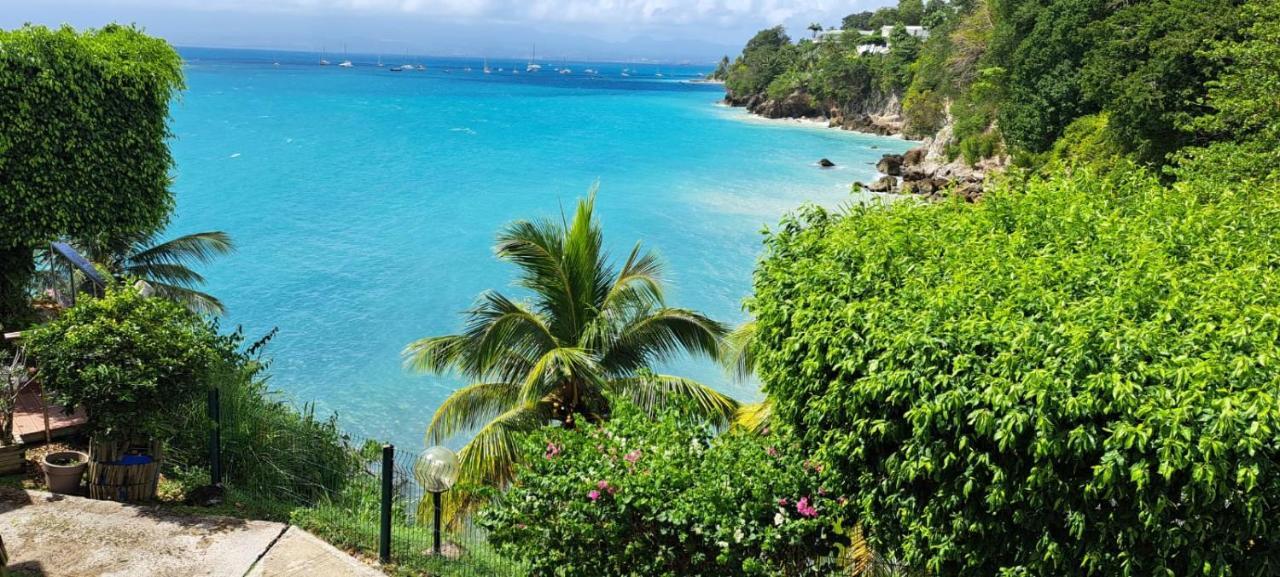 Vue Mer, Piscine, Appartement 4 Personnes Le Gosier  Esterno foto